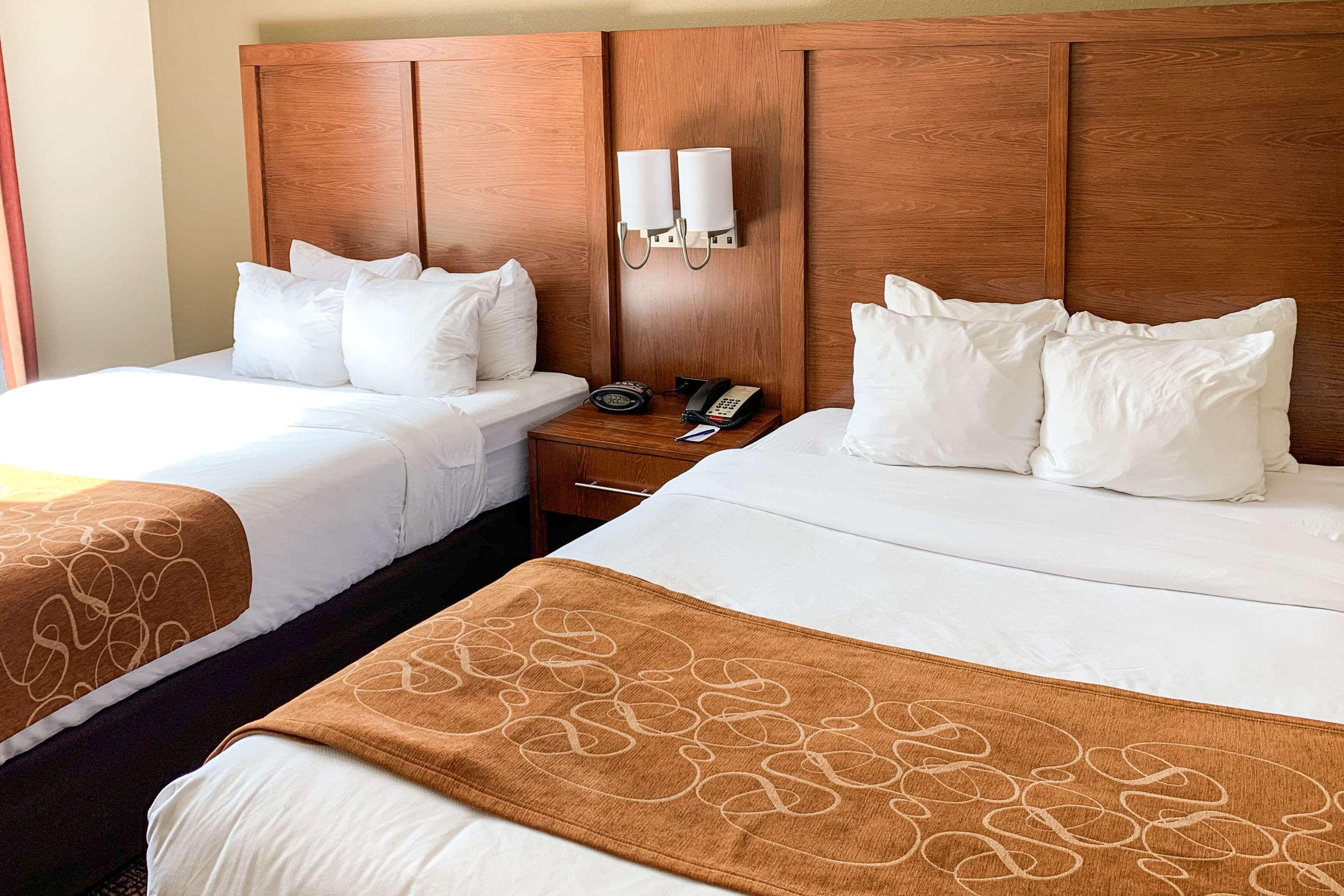 คอมฟอร์ต สวีท โคลัมบัส สเตท ยูนิเวอร์ซิตี้ แอเรีย Hotel ภายนอก รูปภาพ